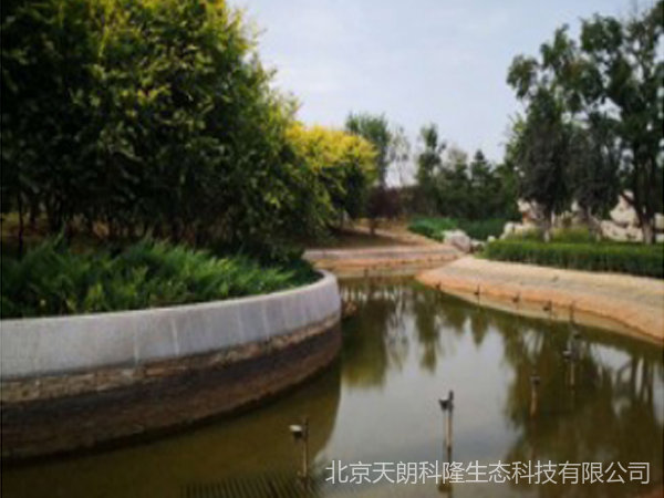 水生态治理工程